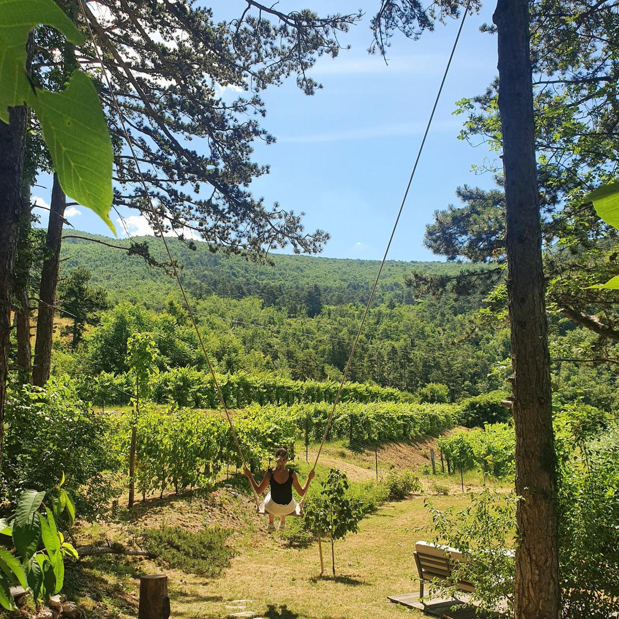 Theodosius Forest Village - Glamping In Vipava Valley Exterior photo