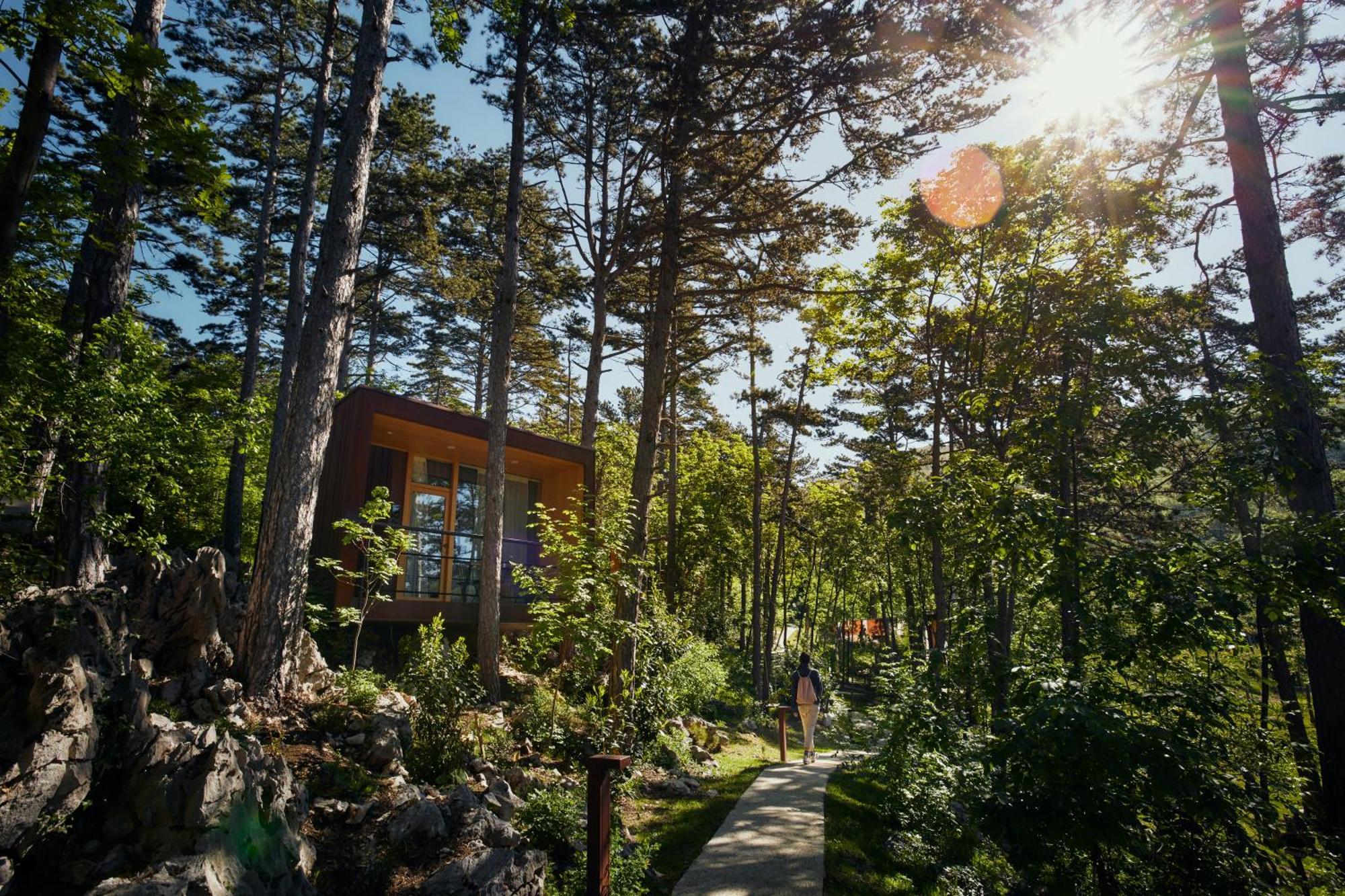 Theodosius Forest Village - Glamping In Vipava Valley Exterior photo